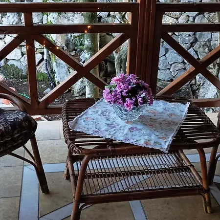 η θέα τhe View *